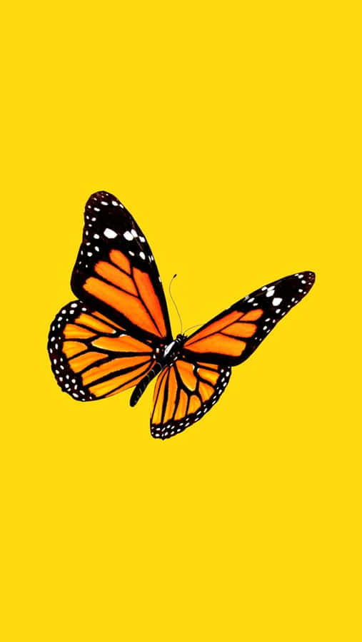 Admire The Beauty Of These Vibrant Yellow Butterflies! Wallpaper