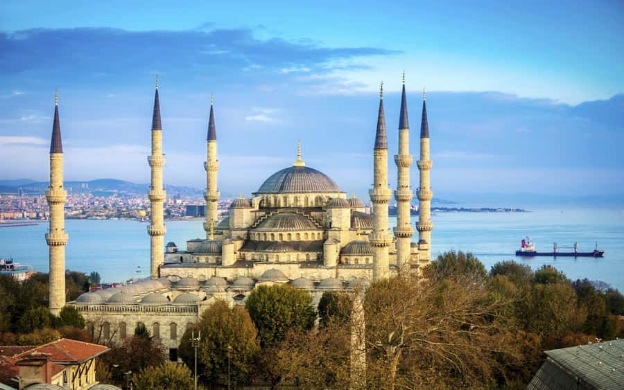 Aerial Blue Mosque Long Shot Wallpaper