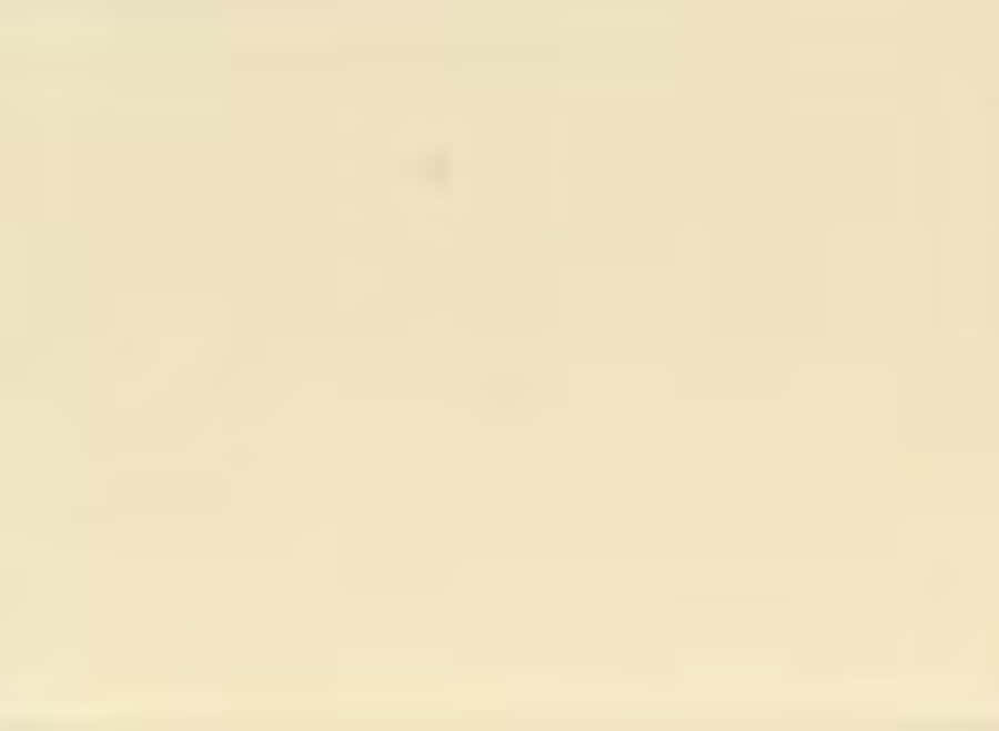 Aesthetic Cream Colored Wallpaper Wallpaper