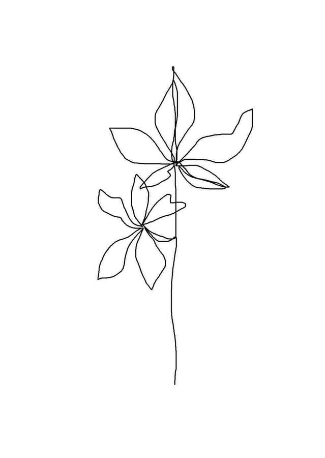 Aesthetic Drawing Blossom Wallpaper