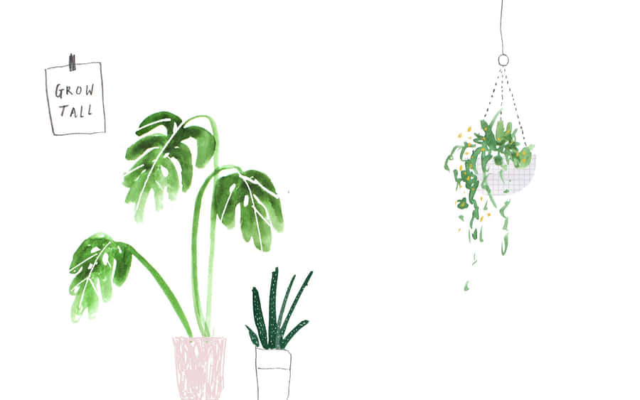 Aesthetic Watercolor Art Minimalist Plant Desktop Wallpaper