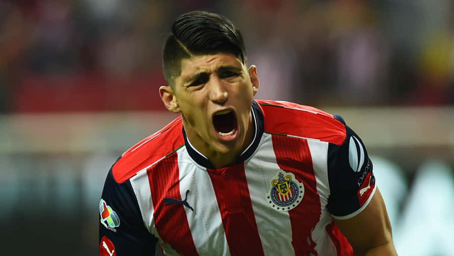 Alan Pulido Chivas Guadalajara Wallpaper