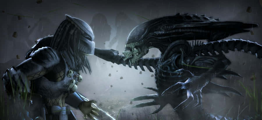 Alien Vs Predator Grid Talking Celtic Wallpaper