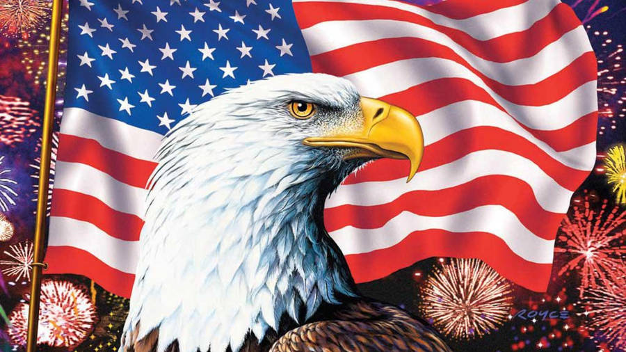 American Eagle With White Feather Wallpaper