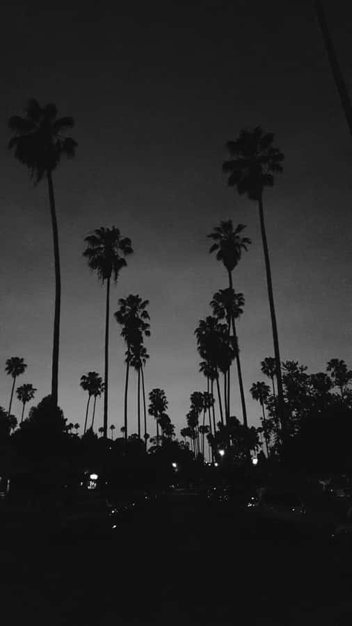 An Aesthetic Black And White Phone Wallpaper