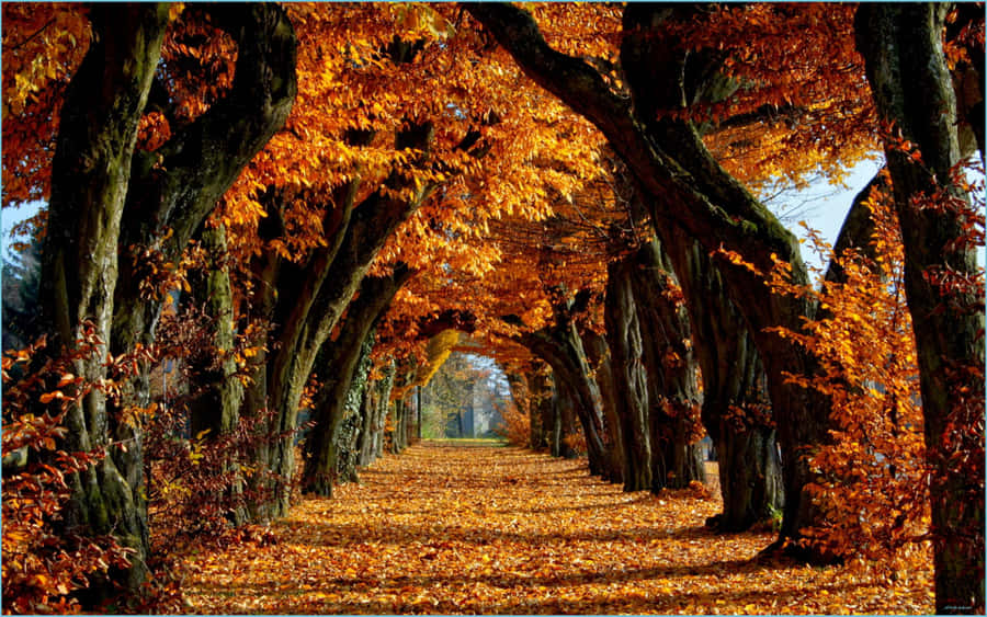 An Autumn View Of New England Wallpaper