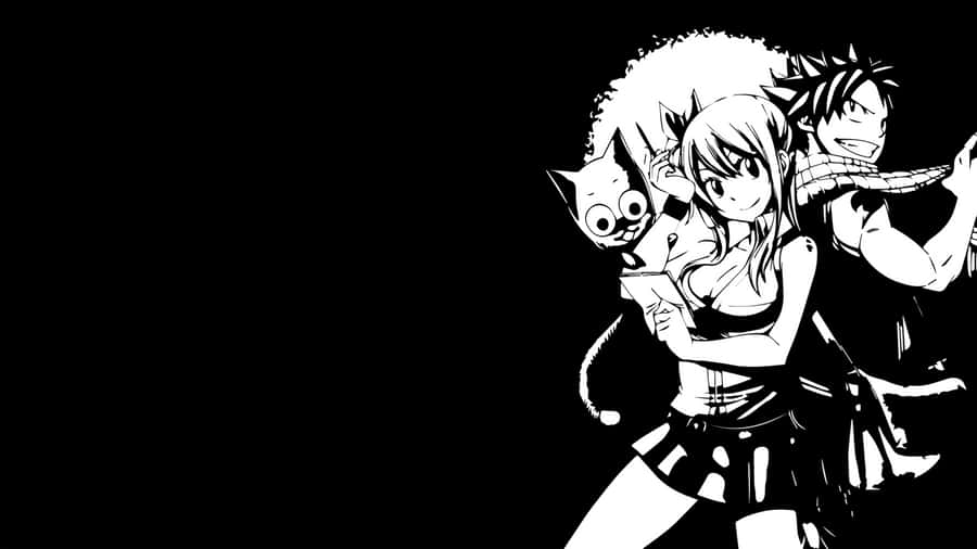 Anime, One Piece, Black And White, Hd Wallpaper Wallpaper