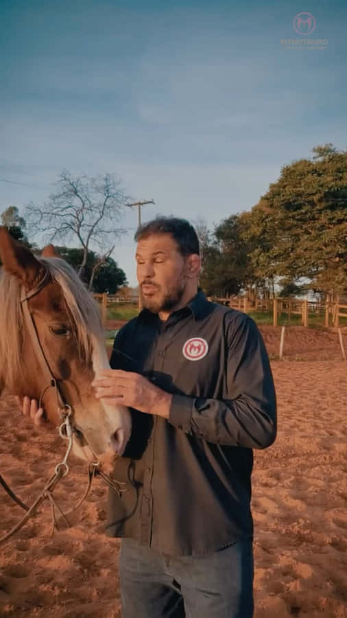 Antônio Rodrigo Nogueira Calming Horse Wallpaper