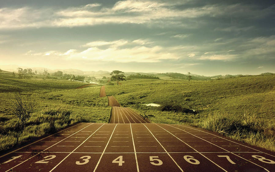 Athletic Greenery Field Wallpaper