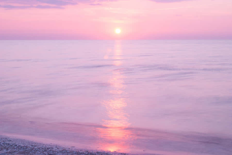 Beach Sunset Pink Sky Hd Wallpaper
