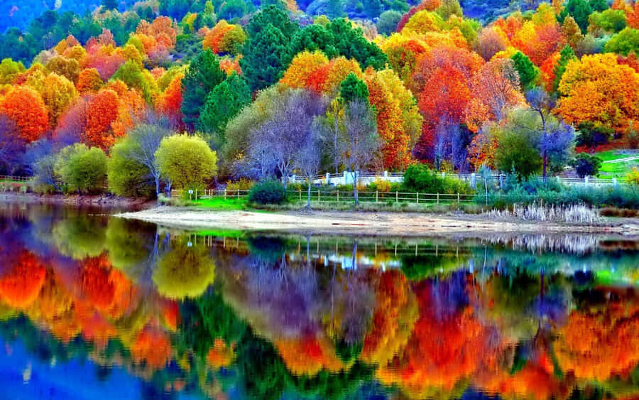 Beautiful Scenery Desktop Colorful Autumn Lake Wallpaper