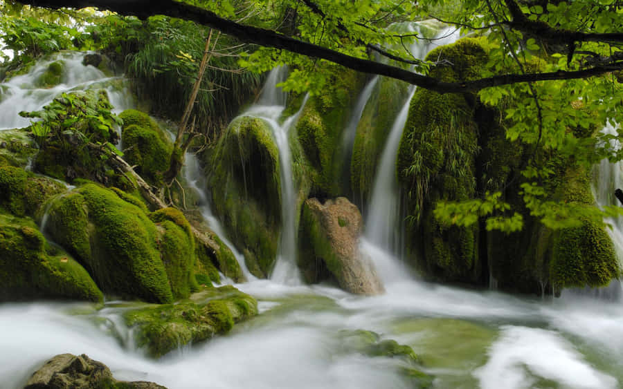 Beautiful Scenery Desktop Plitvice Lakes National Park Wallpaper