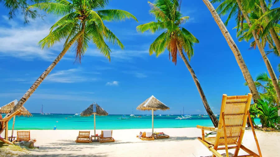 Beautiful Summer Wooden Chairs Wallpaper