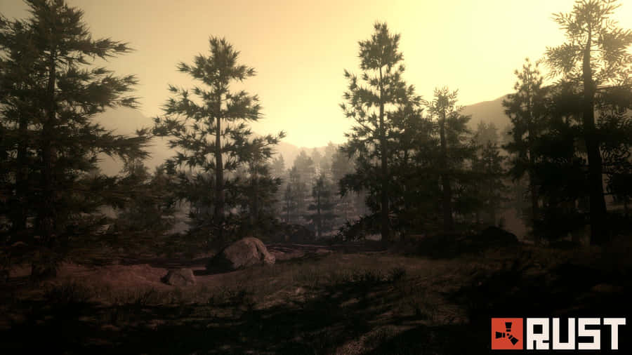Become A Survivor With Rust Game Wallpaper