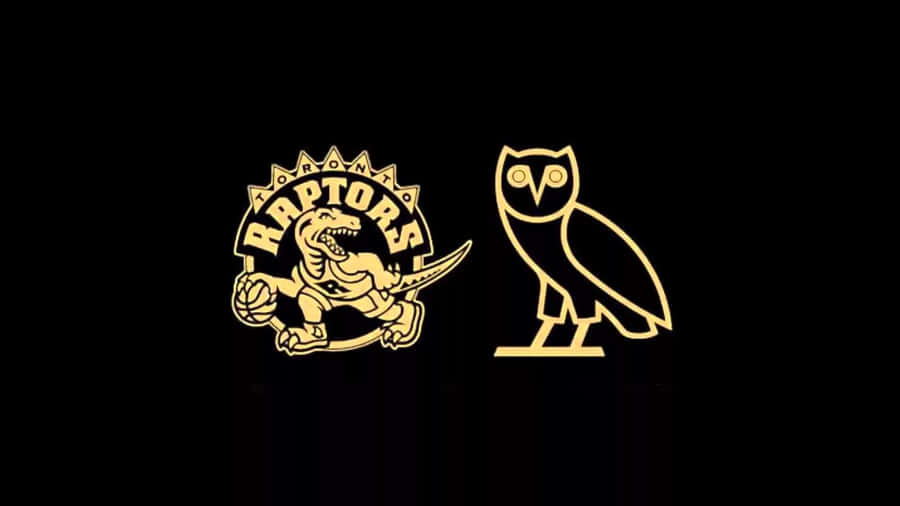 Behind The Scenes At Ovoxo Wallpaper