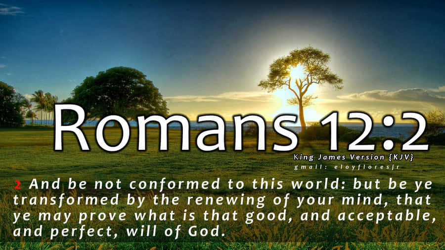 Bible — The King James Version Wallpaper