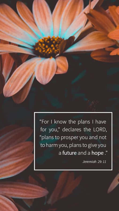 Bible Verse Jeremiah 29:11 Wallpaper