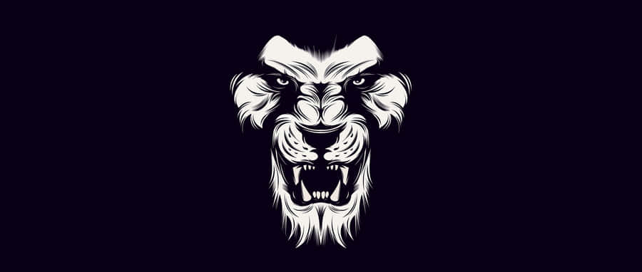 Black And White Lion Head Wallpaper