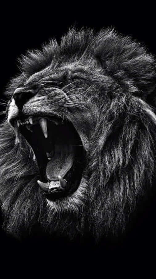 Black And White Lion Roaring Wallpaper