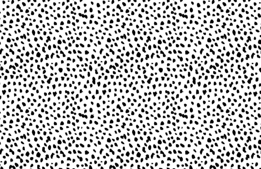 Black And White Polka Dot Pattern Wallpaper