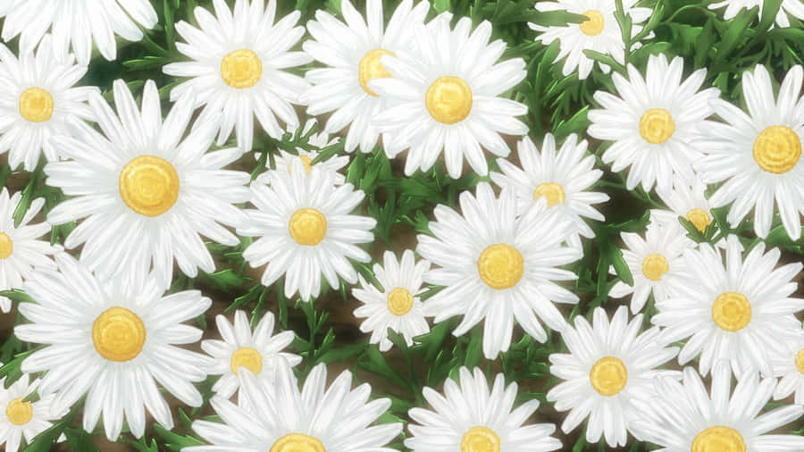 Blooming Beauty Wallpaper