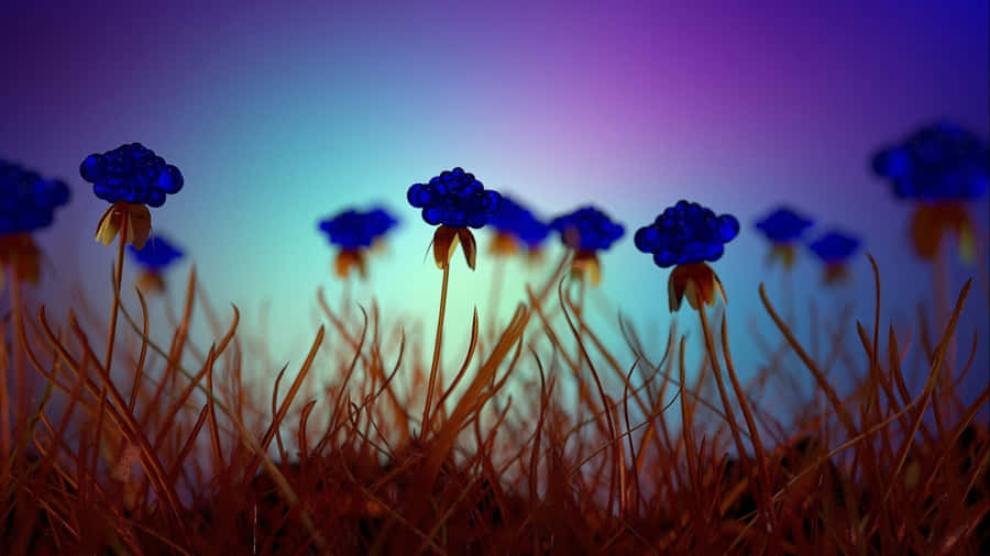Blooming Blue Flower On A Desktop Wallpaper