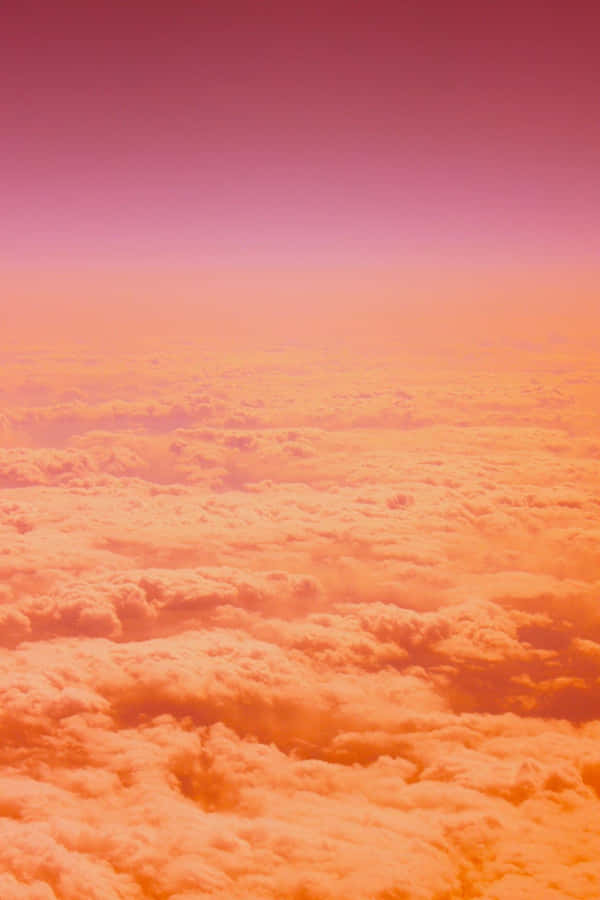 Blooming With Beauty Wallpaper