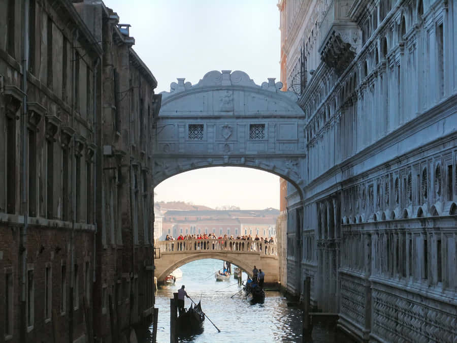 Bridge Of Sighs Morning Tourists Wallpaper