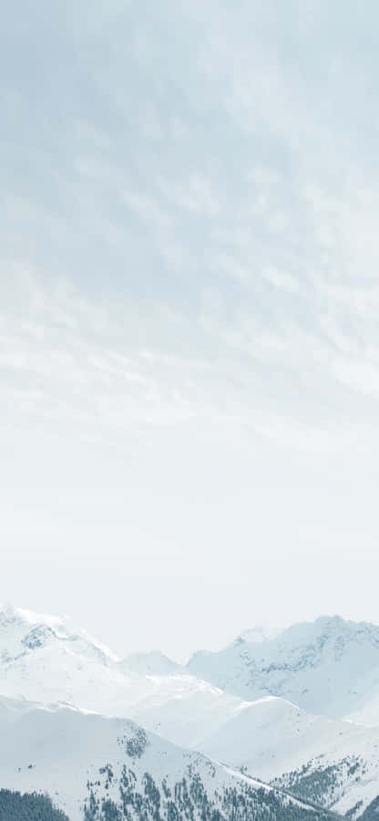 Bright White Apple Iphone 11 Wallpaper