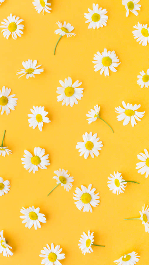 Brighten Up Any Room With This Vibrant Yellow Aesthetic Wallpaper