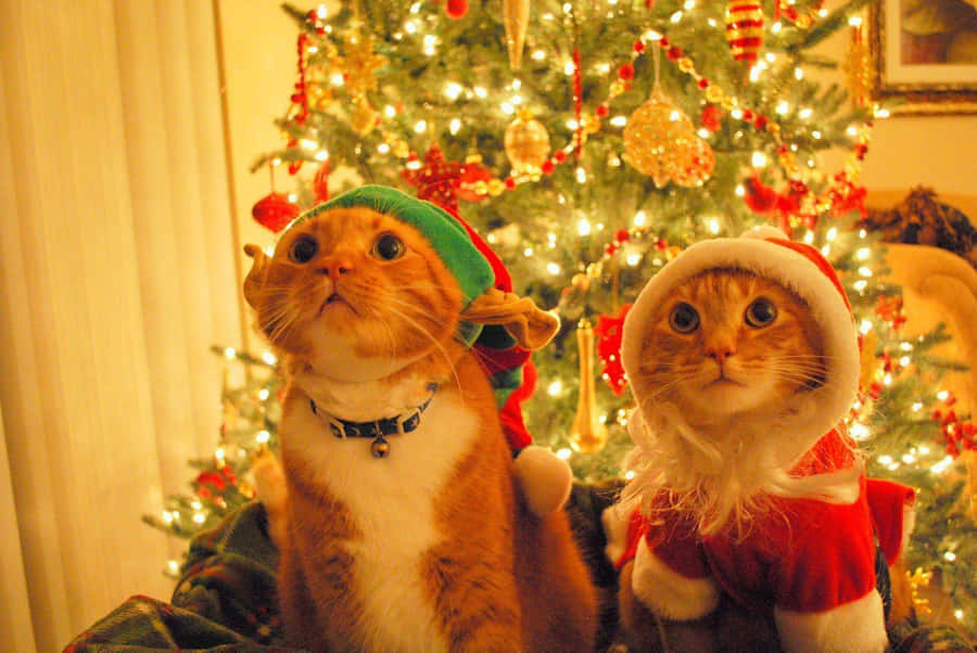 Bring On The Holiday Cheer And Laughs Wallpaper