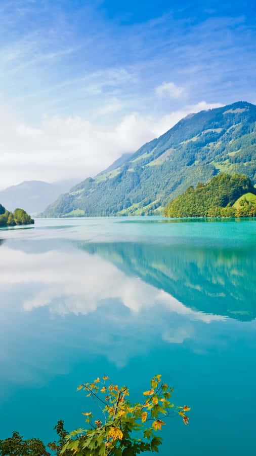 Calm Lake Nature Android Hd Wallpaper