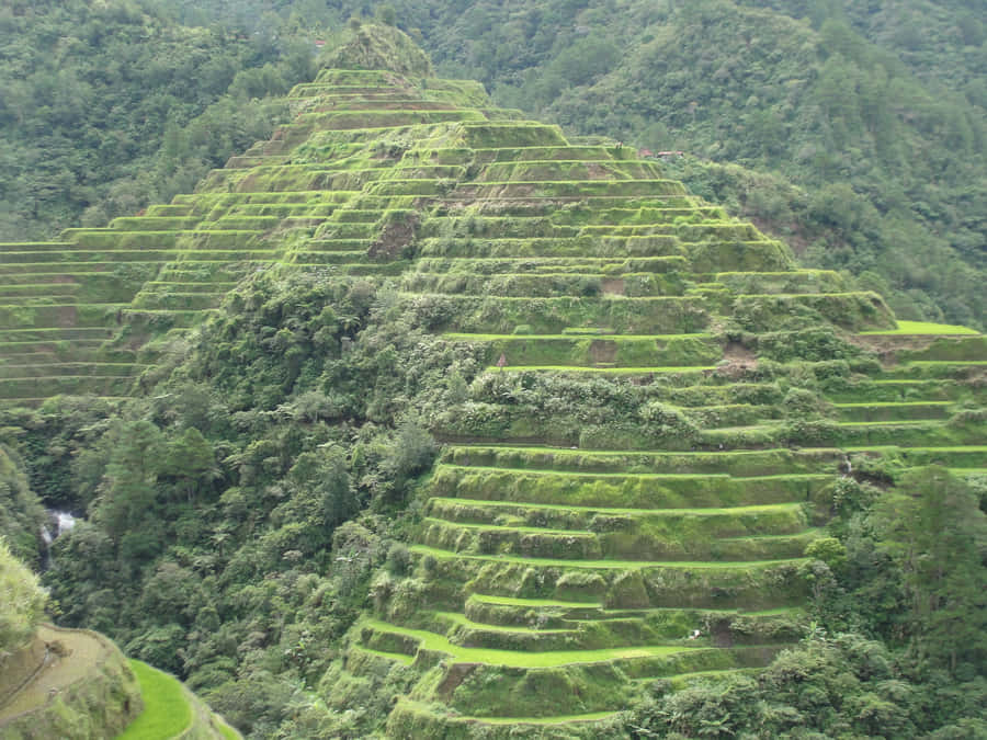 Caption: Majestic Banaue Rice Terraces In The Philippines Wallpaper