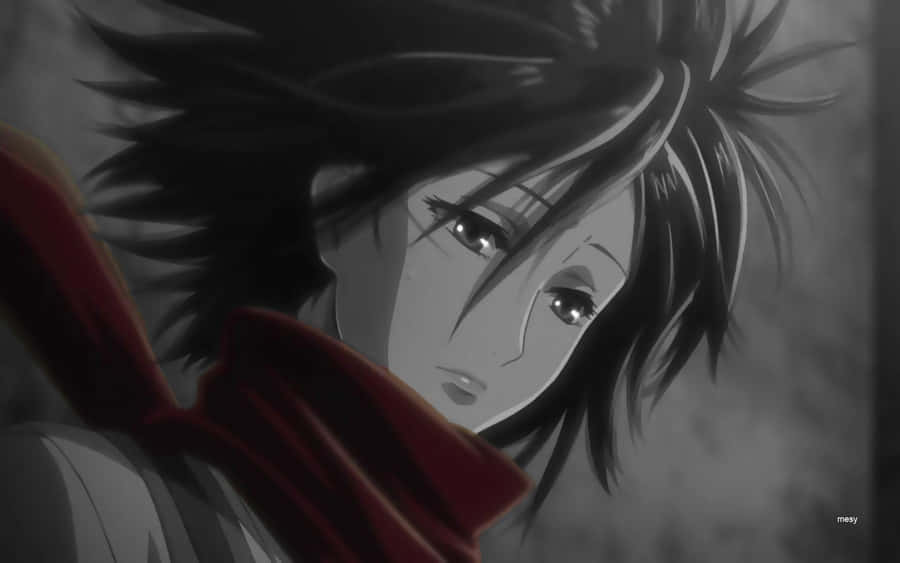Caption: Mikasa Ackerman, The Warrior Queen Wallpaper