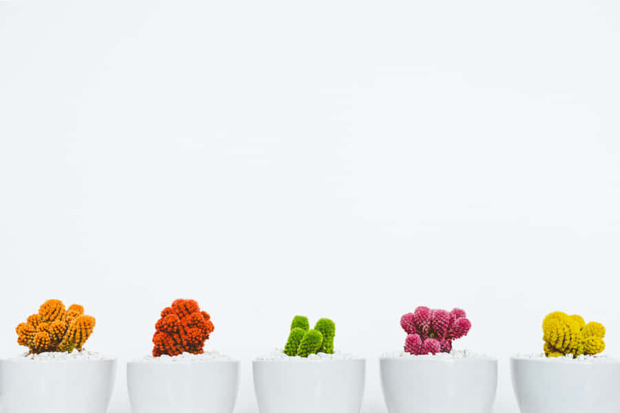 Caption: Simplicity Meets Nature Wallpaper