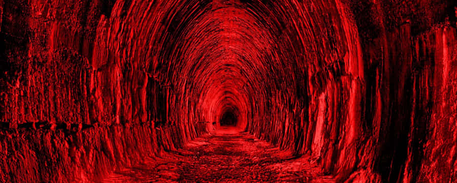 Captivating Red Ultra Wide Hd Wallpaper Wallpaper