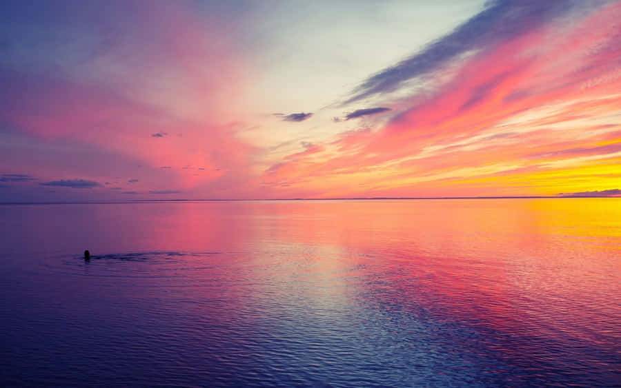 Capture The Beauty Of The Setting Sun Over A Peaceful Lake. Wallpaper