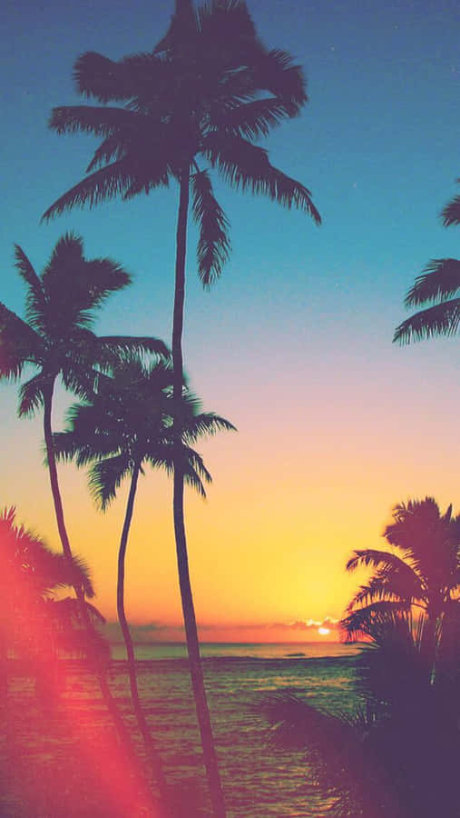 Capture The Sunshine Of A California Summer With This Picture Wallpaper