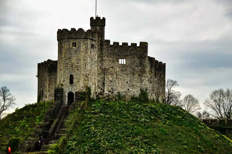 Cardiff Castle Aesthetic View Wallpaper