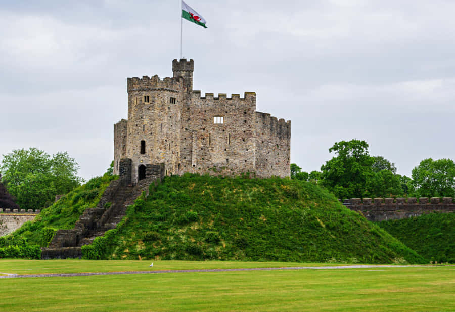Cardiff Castle Phone Wallpaper