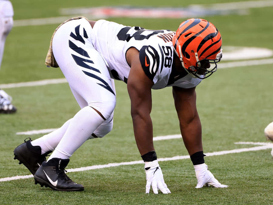 Carl Lawson Is Ready Wallpaper