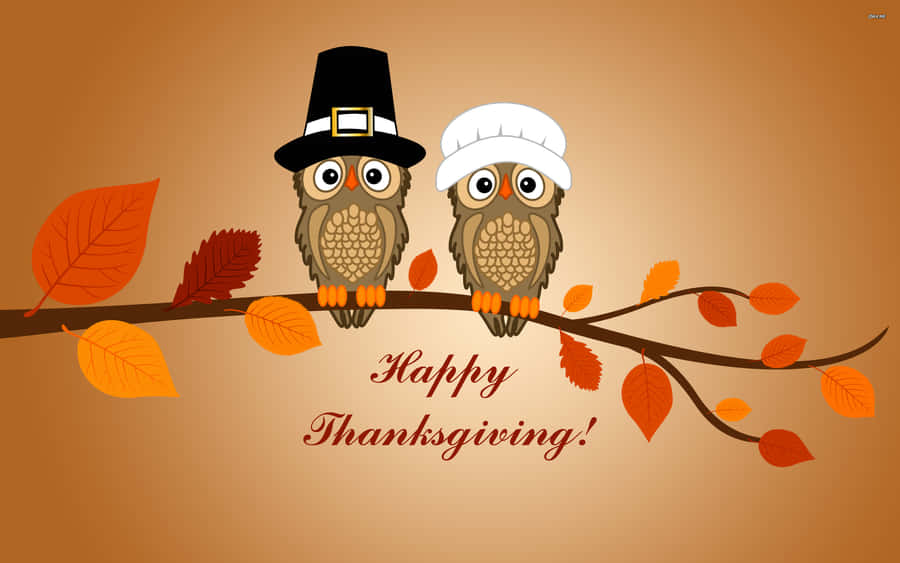 Cartoon Thanksgiving Owls On A Branch Wallpaper