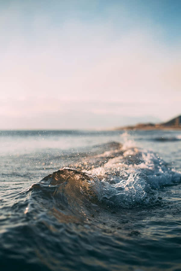 Celebrating The End Of Summer Wallpaper