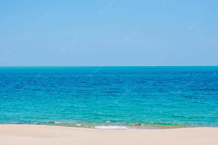 Celebrating The End Of Summer Wallpaper