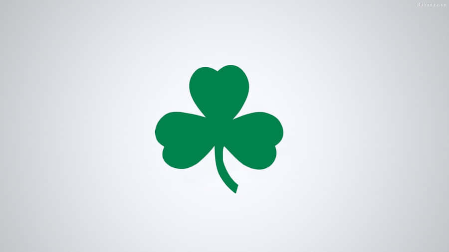 Celtics Logo Clover Wallpaper