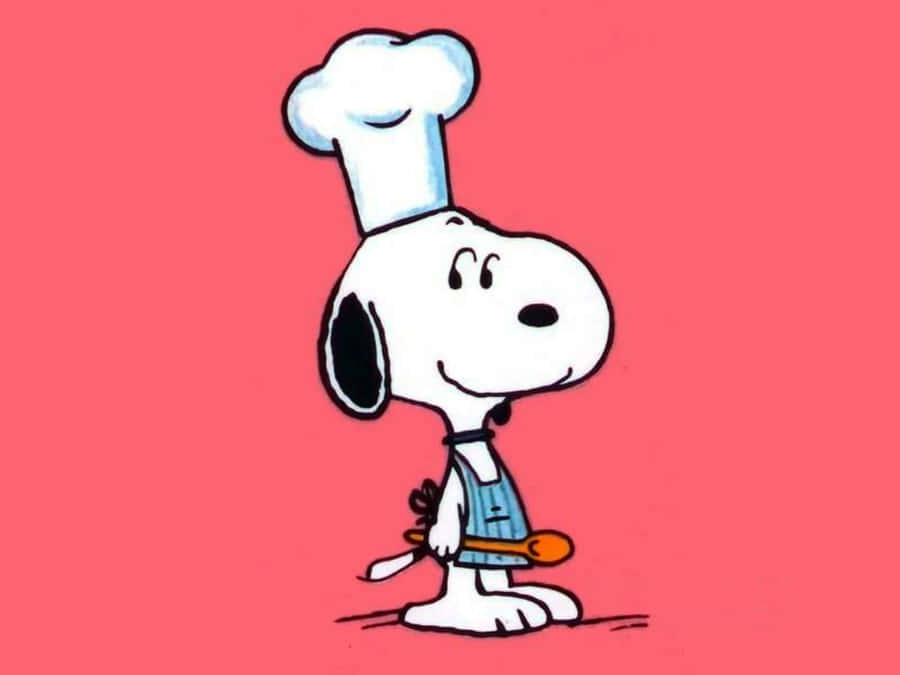 Chef Snoopy Cartoon Character Wallpaper