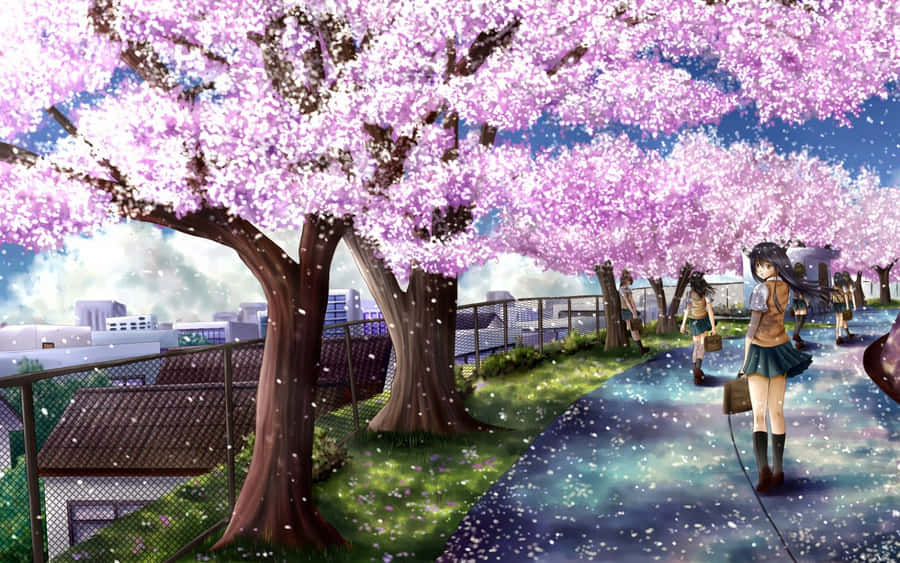 Cherry Blossoms Blooming In The Wind Wallpaper