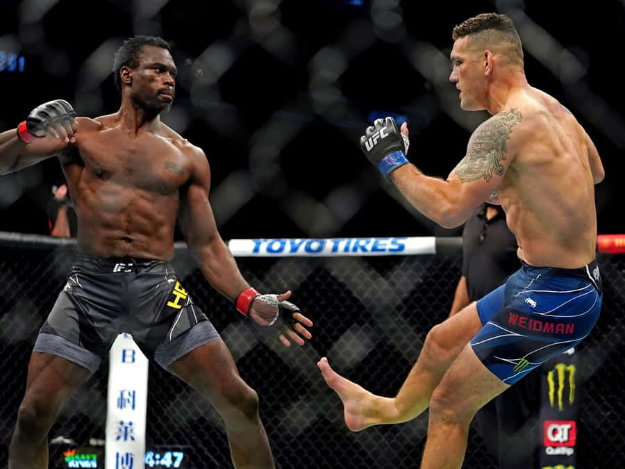 Chris Weidman Fighting Uriah Hall Wallpaper