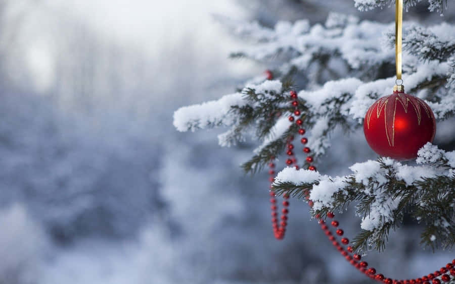 Christmas Tree Wallpapers Hd Wallpaper