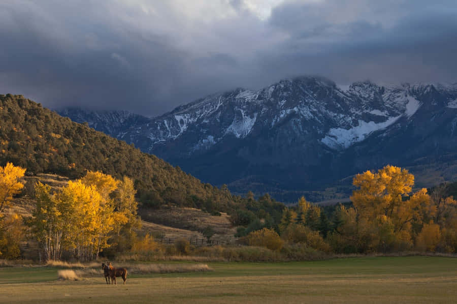 Chrome Os Mountain Scenery Wallpaper